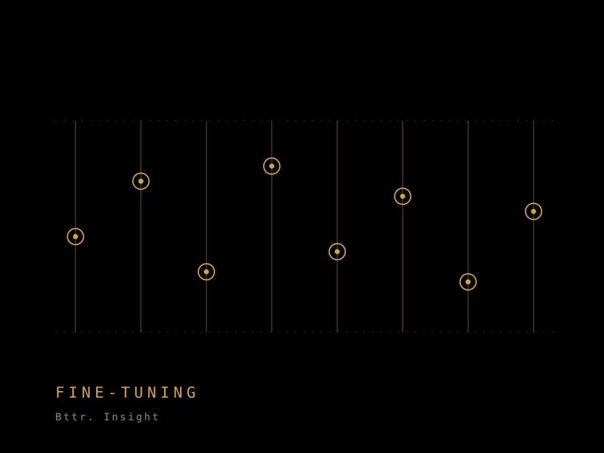What Is Fine-Tuning