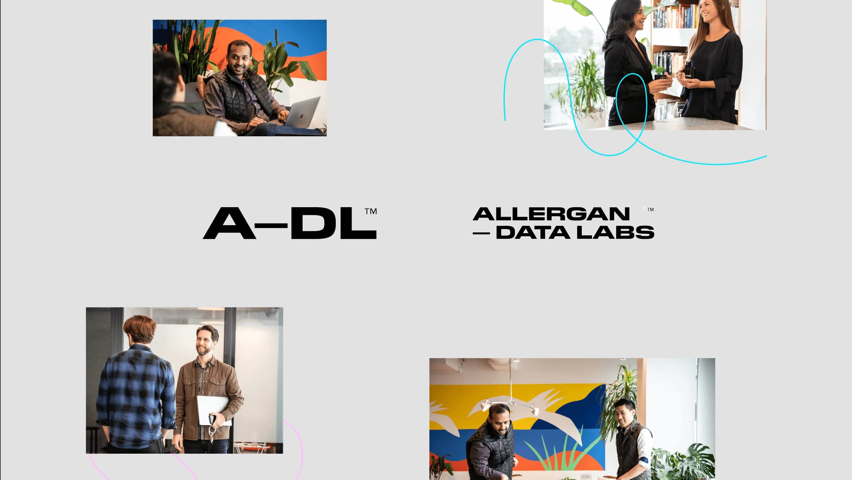 Allergan Data Labs Brand Application