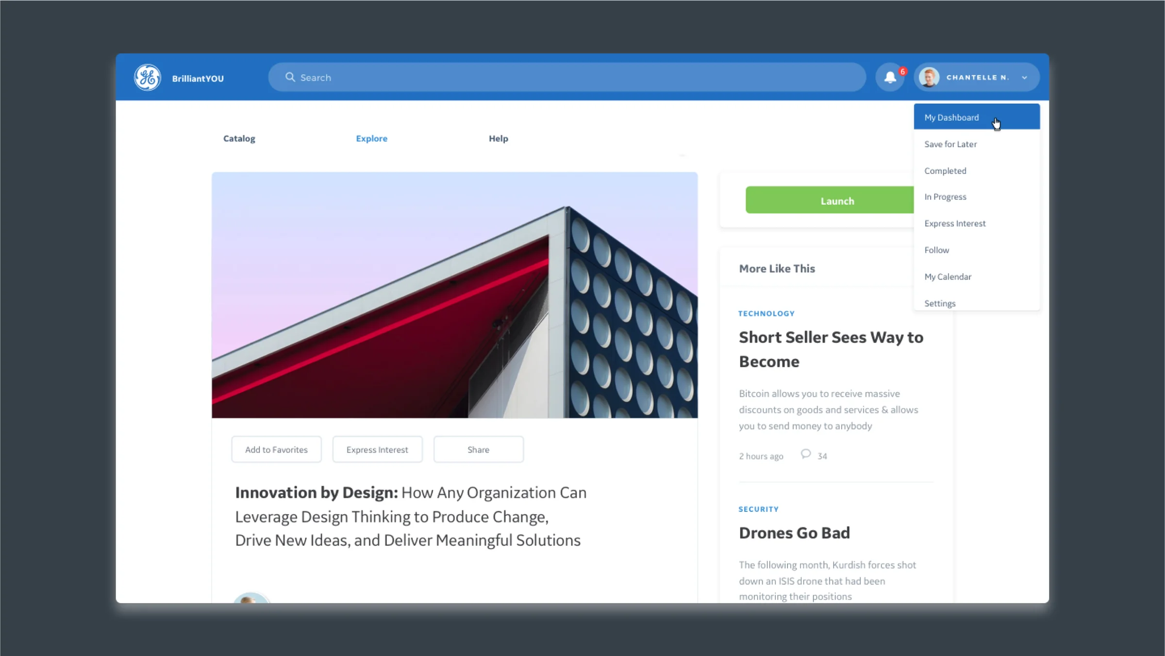 GE Brilliant You Interface